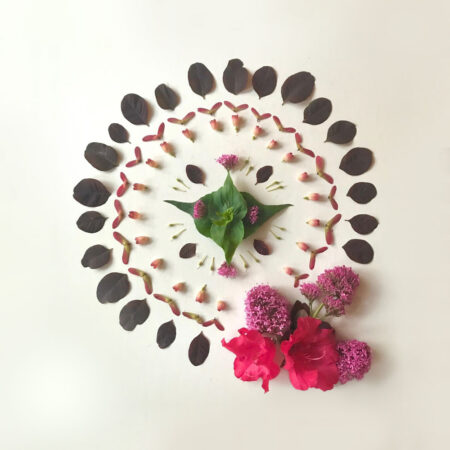 Energy Healing for Graceful Weight Loss